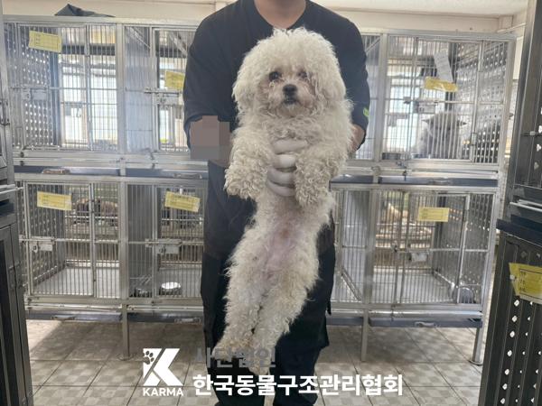 한국동물구조관리협회_411316202500275